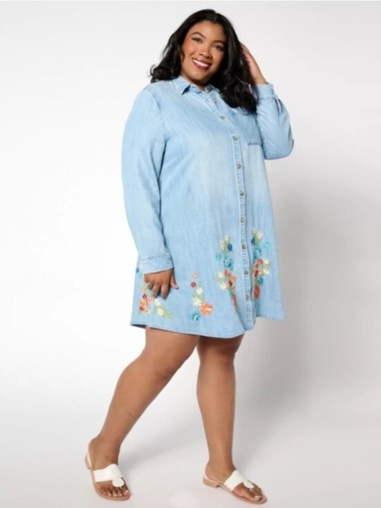 DRIFTWOOD Dresses & Skirts - Driftwood Scottie Tencel Embroidered Shirtdress Size XL boho Loose Fit